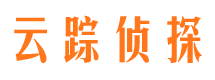 定结市调查公司